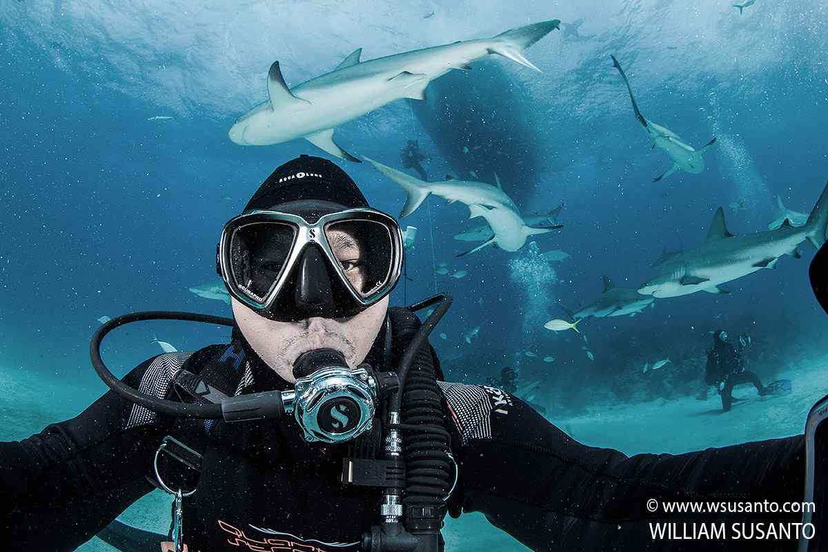 Selfie with Sharks